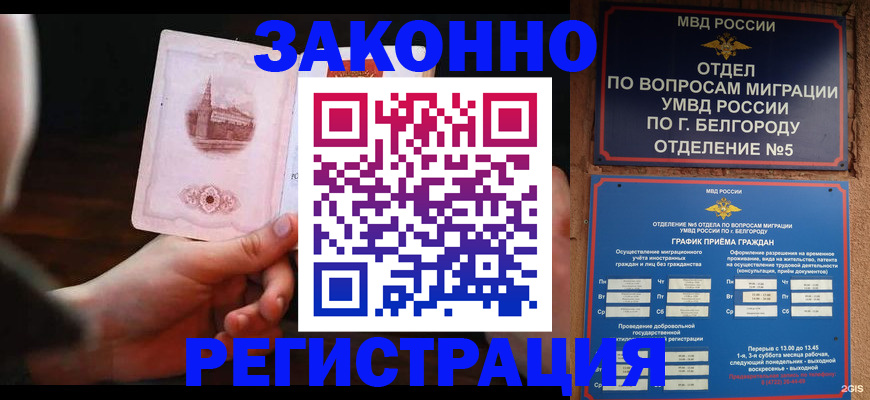 прописка 2025 в Мурино